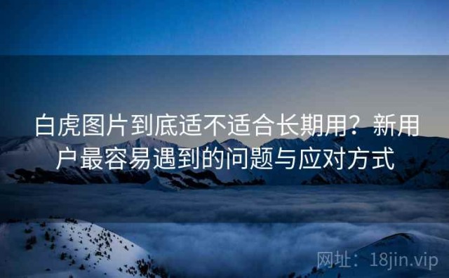 白虎图片到底适不适合长期用？新用户最容易遇到的问题与应对方式