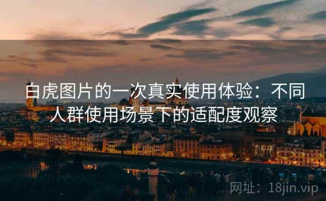 白虎图片的一次真实使用体验：不同人群使用场景下的适配度观察