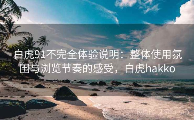 白虎91不完全体验说明：整体使用氛围与浏览节奏的感受，白虎hakko