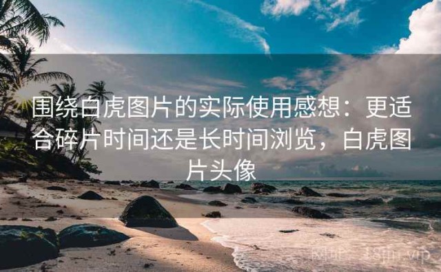 围绕白虎图片的实际使用感想：更适合碎片时间还是长时间浏览，白虎图片头像