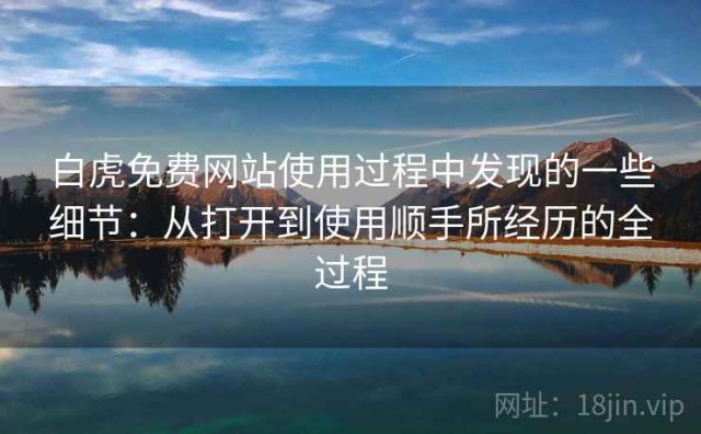 白虎免费网站使用过程中发现的一些细节：从打开到使用顺手所经历的全过程
