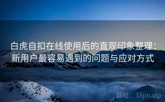 白虎自扣在线使用后的直观印象整理：新用户最容易遇到的问题与应对方式