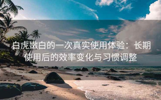 白虎嫩白的一次真实使用体验：长期使用后的效率变化与习惯调整