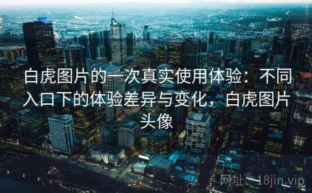 白虎图片的一次真实使用体验：不同入口下的体验差异与变化，白虎图片头像