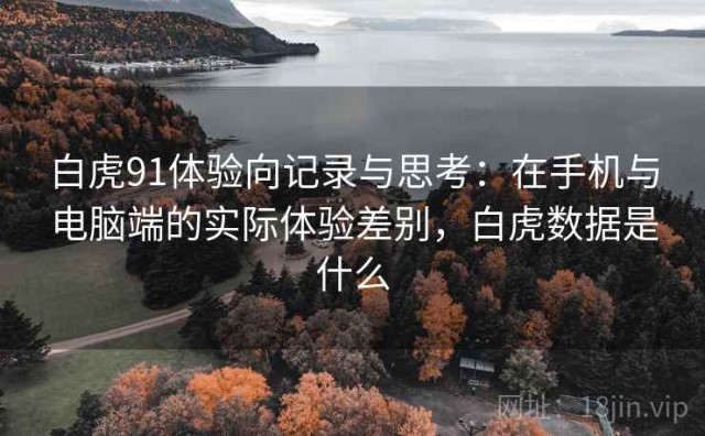 白虎91体验向记录与思考：在手机与电脑端的实际体验差别，白虎数据是什么