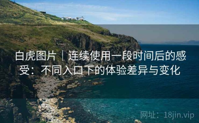 白虎图片｜连续使用一段时间后的感受：不同入口下的体验差异与变化