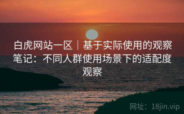 白虎网站一区｜基于实际使用的观察笔记：不同人群使用场景下的适配度观察