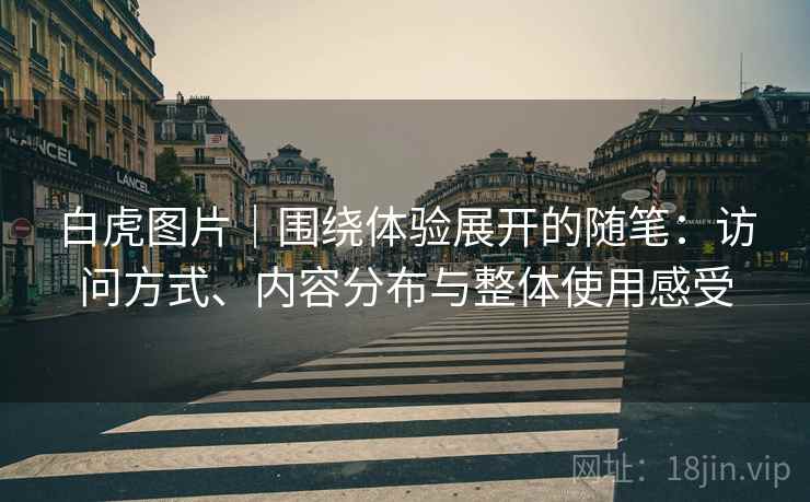 白虎图片｜围绕体验展开的随笔：访问方式、内容分布与整体使用感受