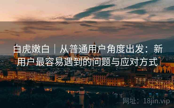 白虎嫩白｜从普通用户角度出发：新用户最容易遇到的问题与应对方式