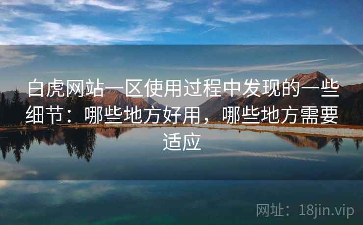 白虎网站一区使用过程中发现的一些细节：哪些地方好用，哪些地方需要适应