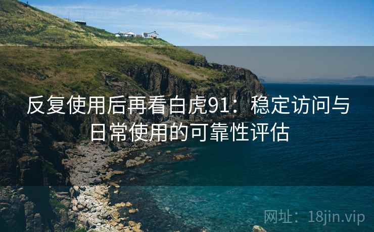 反复使用后再看白虎91：稳定访问与日常使用的可靠性评估