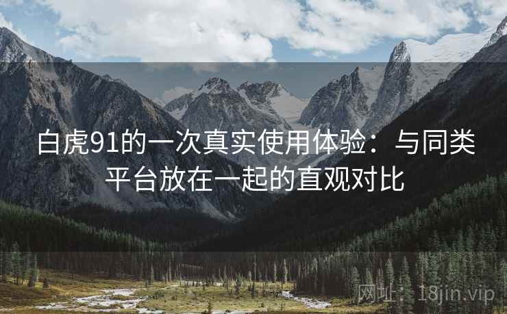 白虎91的一次真实使用体验：与同类平台放在一起的直观对比