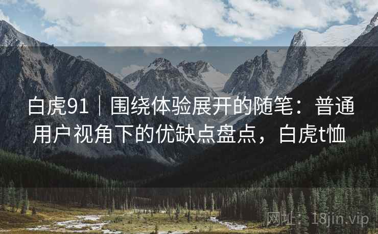 白虎91｜围绕体验展开的随笔：普通用户视角下的优缺点盘点，白虎t恤