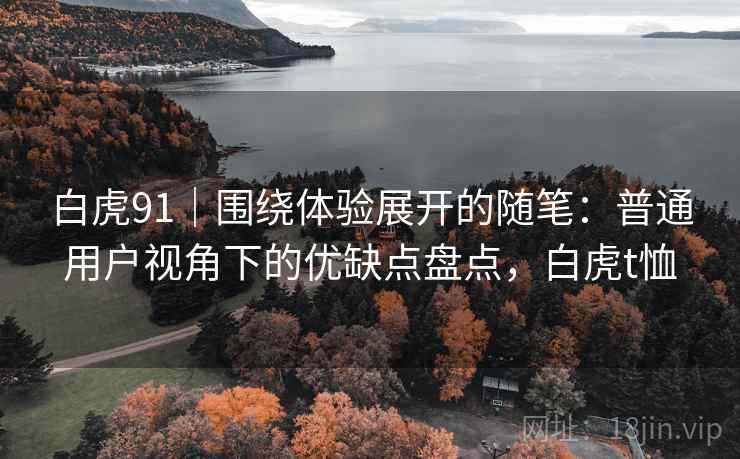 白虎91｜围绕体验展开的随笔：普通用户视角下的优缺点盘点，白虎t恤