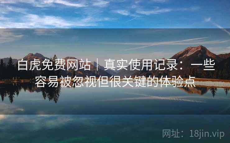 白虎免费网站｜真实使用记录：一些容易被忽视但很关键的体验点
