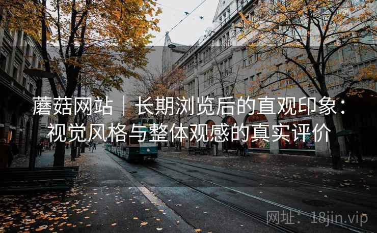 蘑菇网站｜长期浏览后的直观印象：视觉风格与整体观感的真实评价