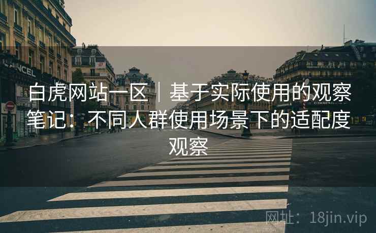 白虎网站一区｜基于实际使用的观察笔记：不同人群使用场景下的适配度观察