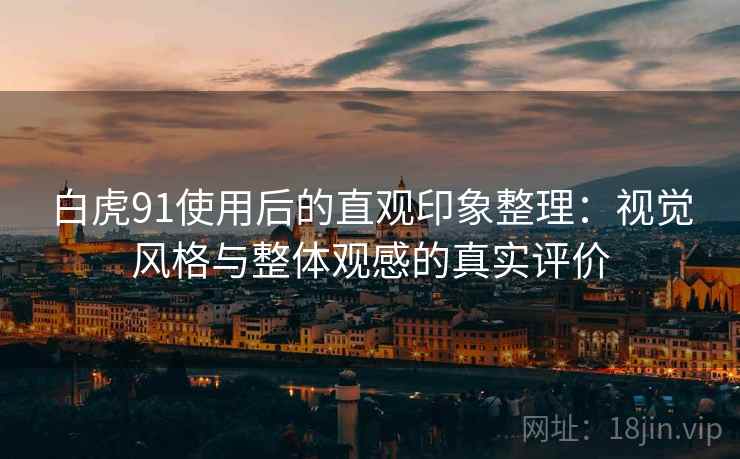 白虎91使用后的直观印象整理：视觉风格与整体观感的真实评价